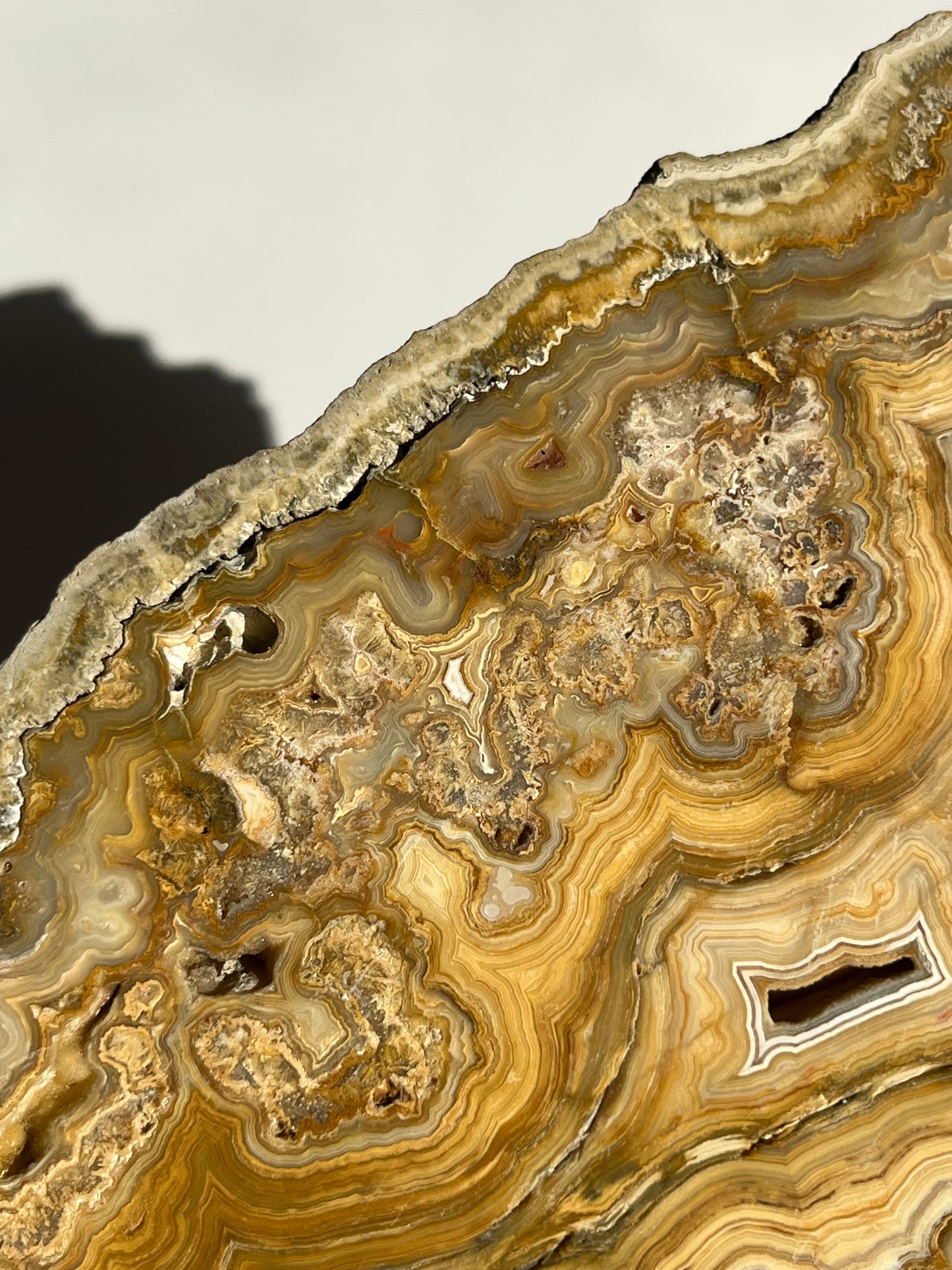 Golden Lace Agate Slab