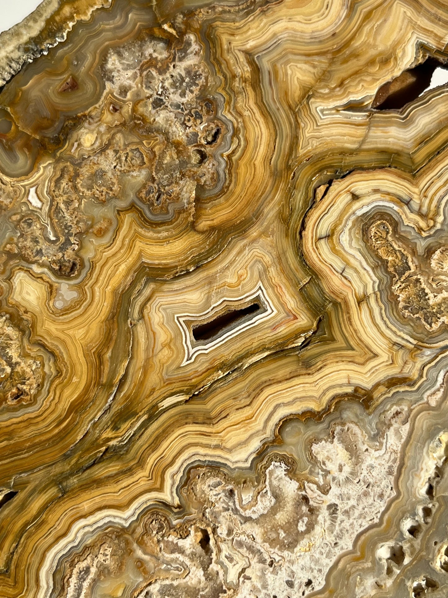 Golden Lace Agate Slab