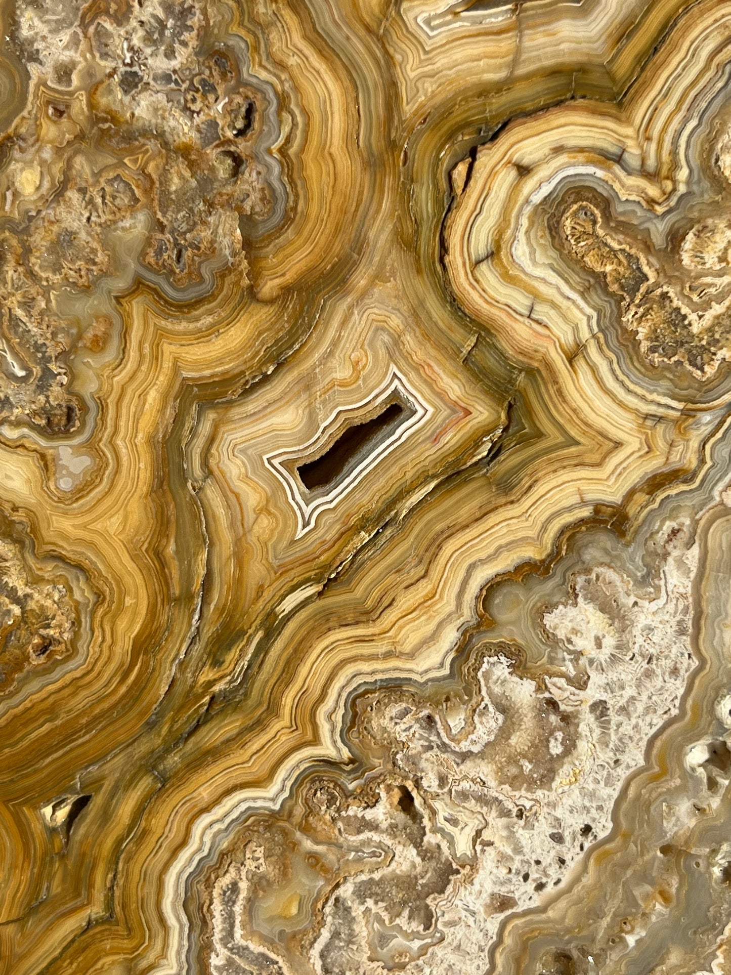 Golden Lace Agate Slab