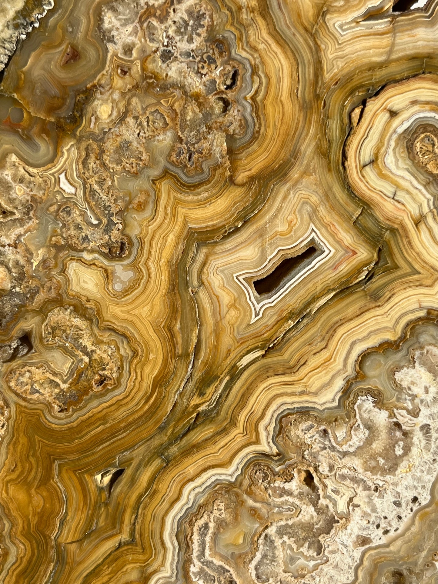 Golden Lace Agate Slab