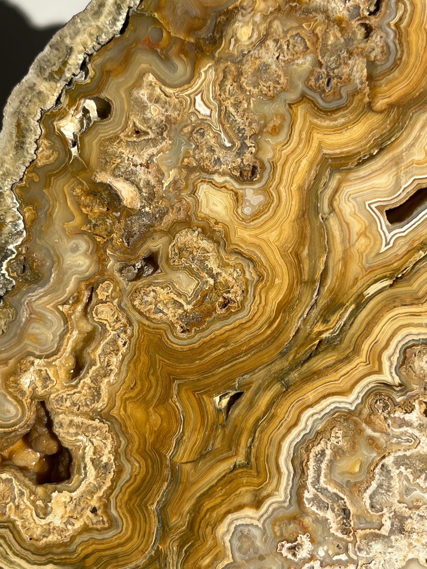 Golden Lace Agate Slab