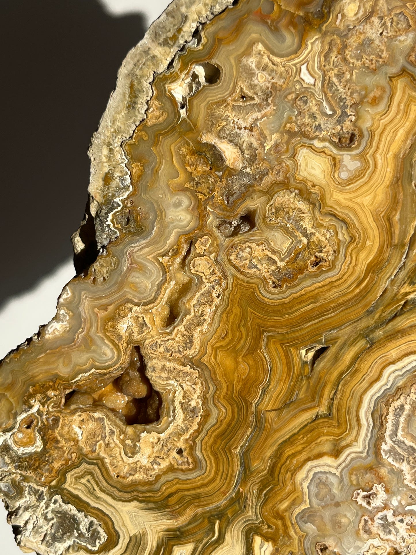 Golden Lace Agate Slab