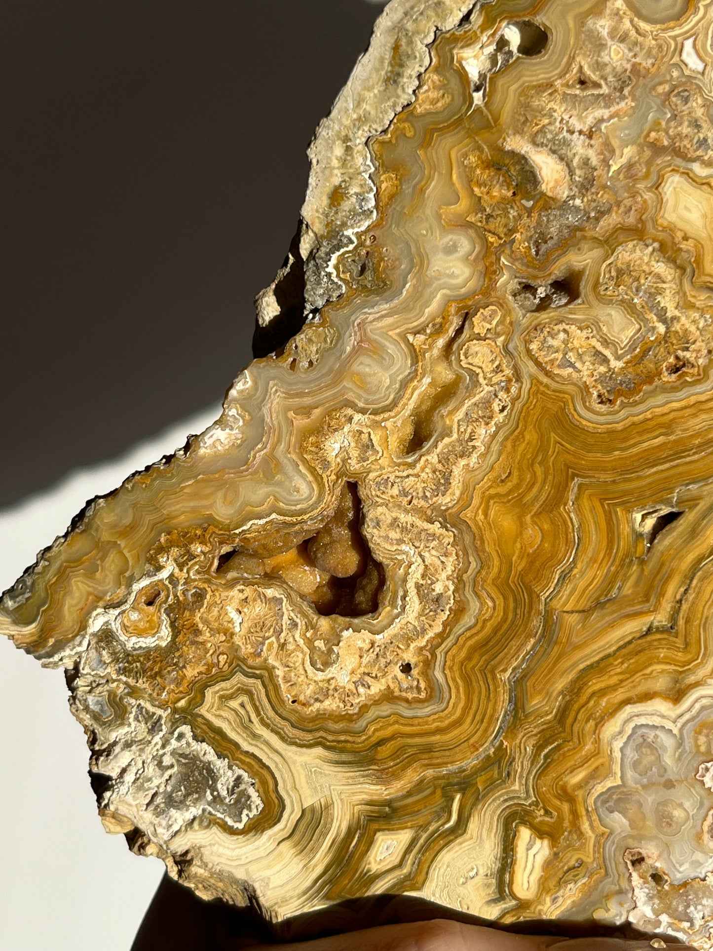 Golden Lace Agate Slab