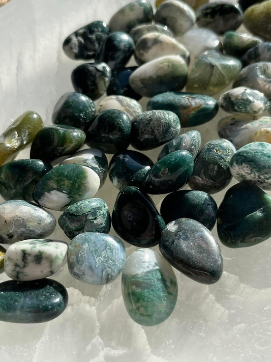 Moss and Tree Agate Mixed Tumbled Stone