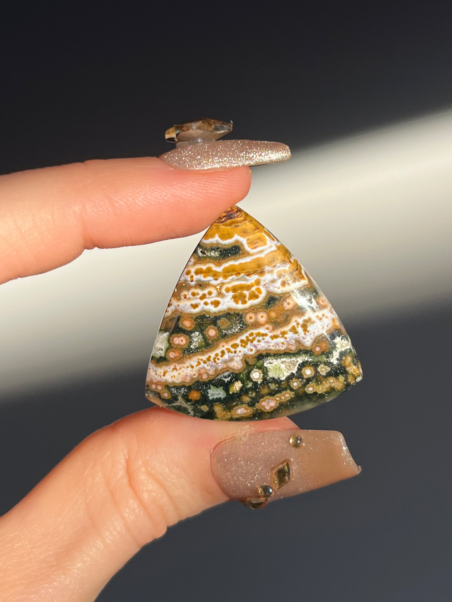 Indonesian Orbicular Jasper Sector Cabochon (You Choose)
