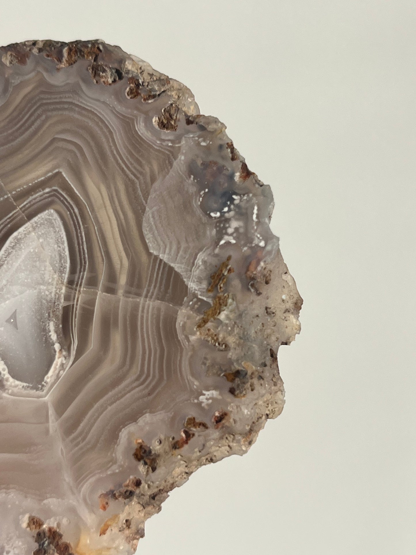 Purple Laguna Agate Slice with Parallax Effect C