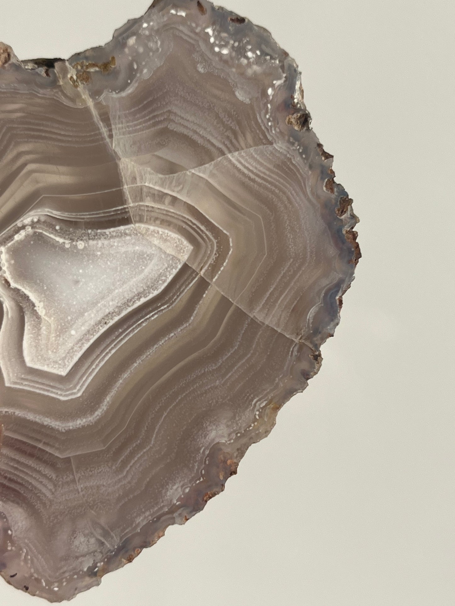 Purple Laguna Agate Slice with White Platelet Suspensions and Parallax Effect D