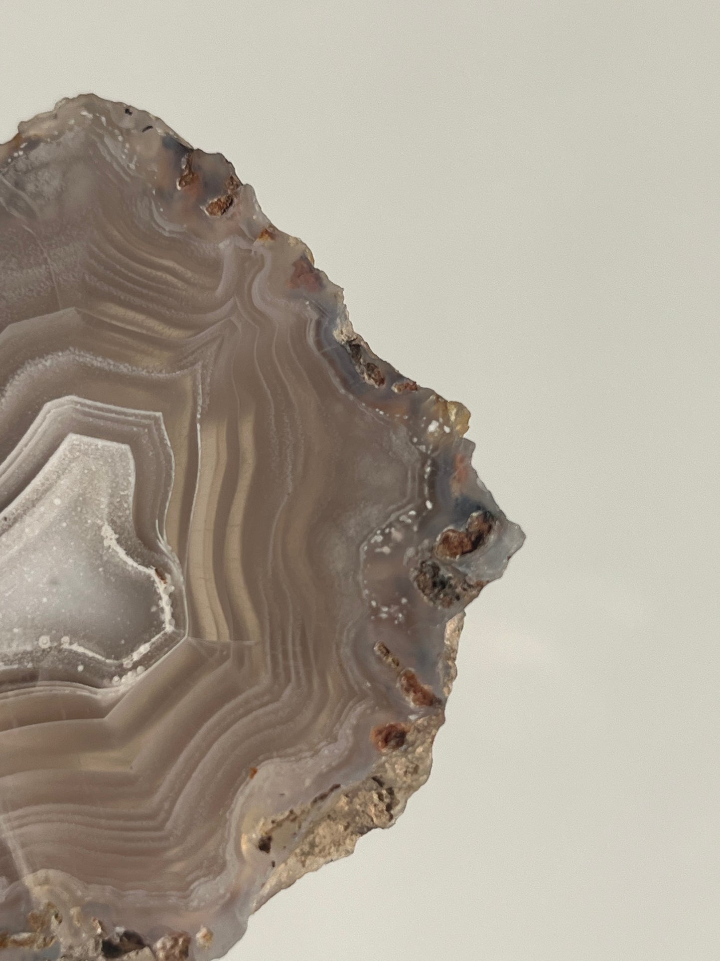 Purple Laguna Agate Slice with White Platelet Suspensions and Parallax Effect D