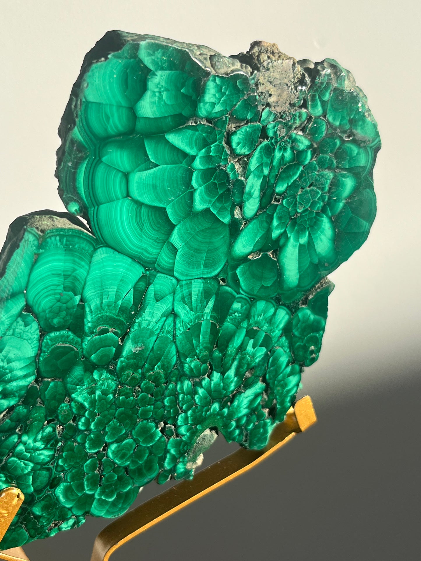 Malachite Butterfly Slab Pair on Custom Gold Stand B