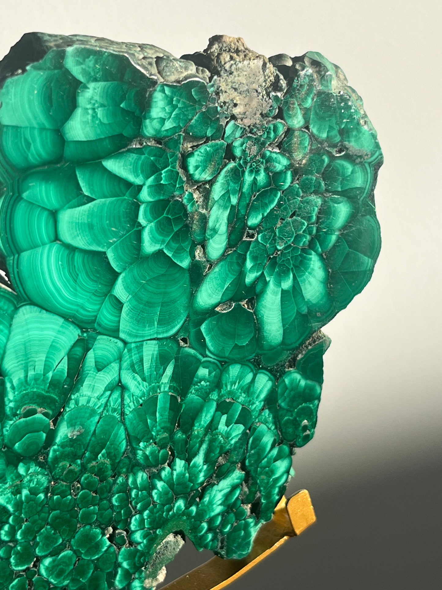 Malachite Butterfly Slab Pair on Custom Gold Stand B