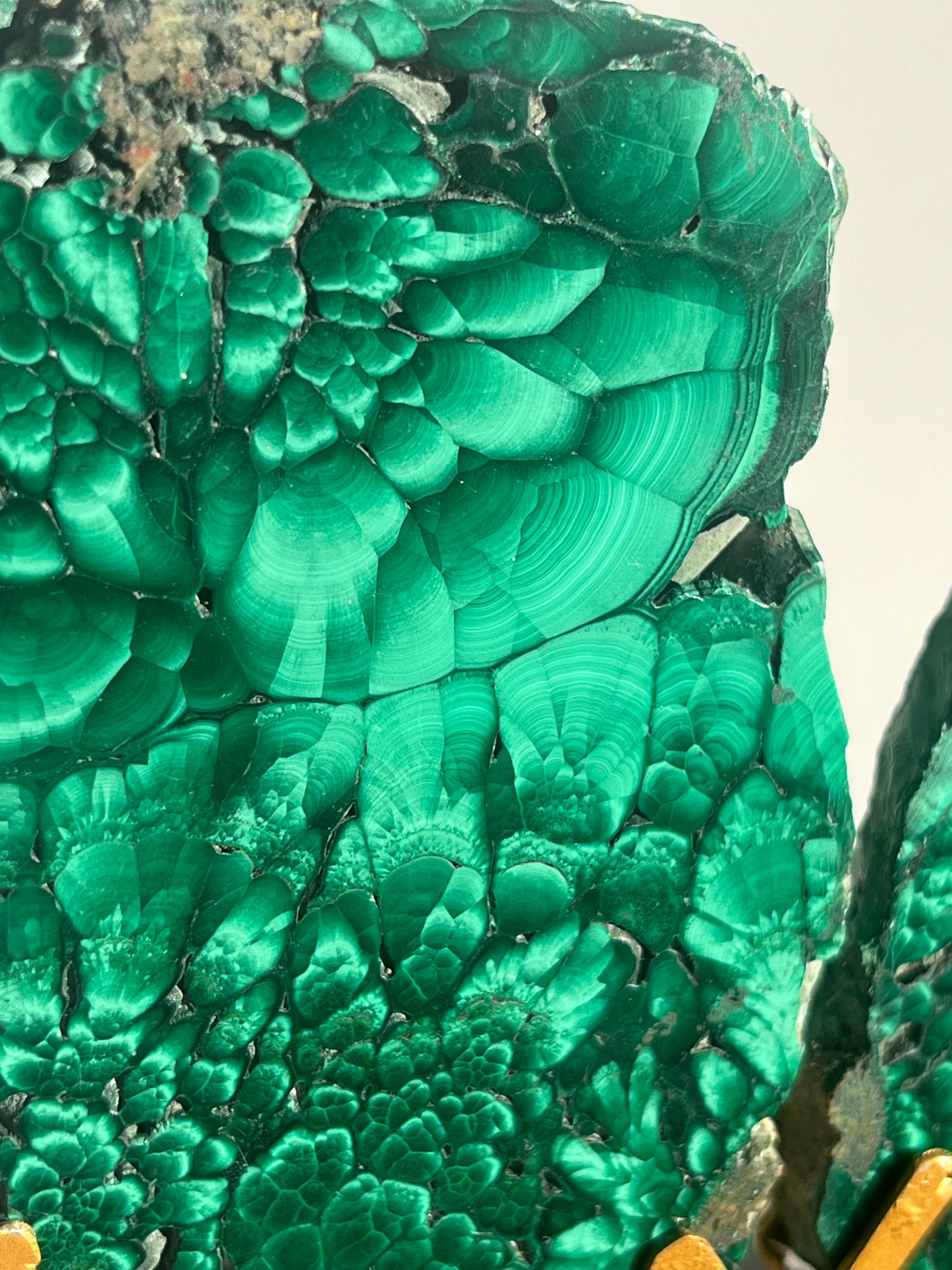 Malachite Butterfly Slab Pair on Custom Gold Stand B