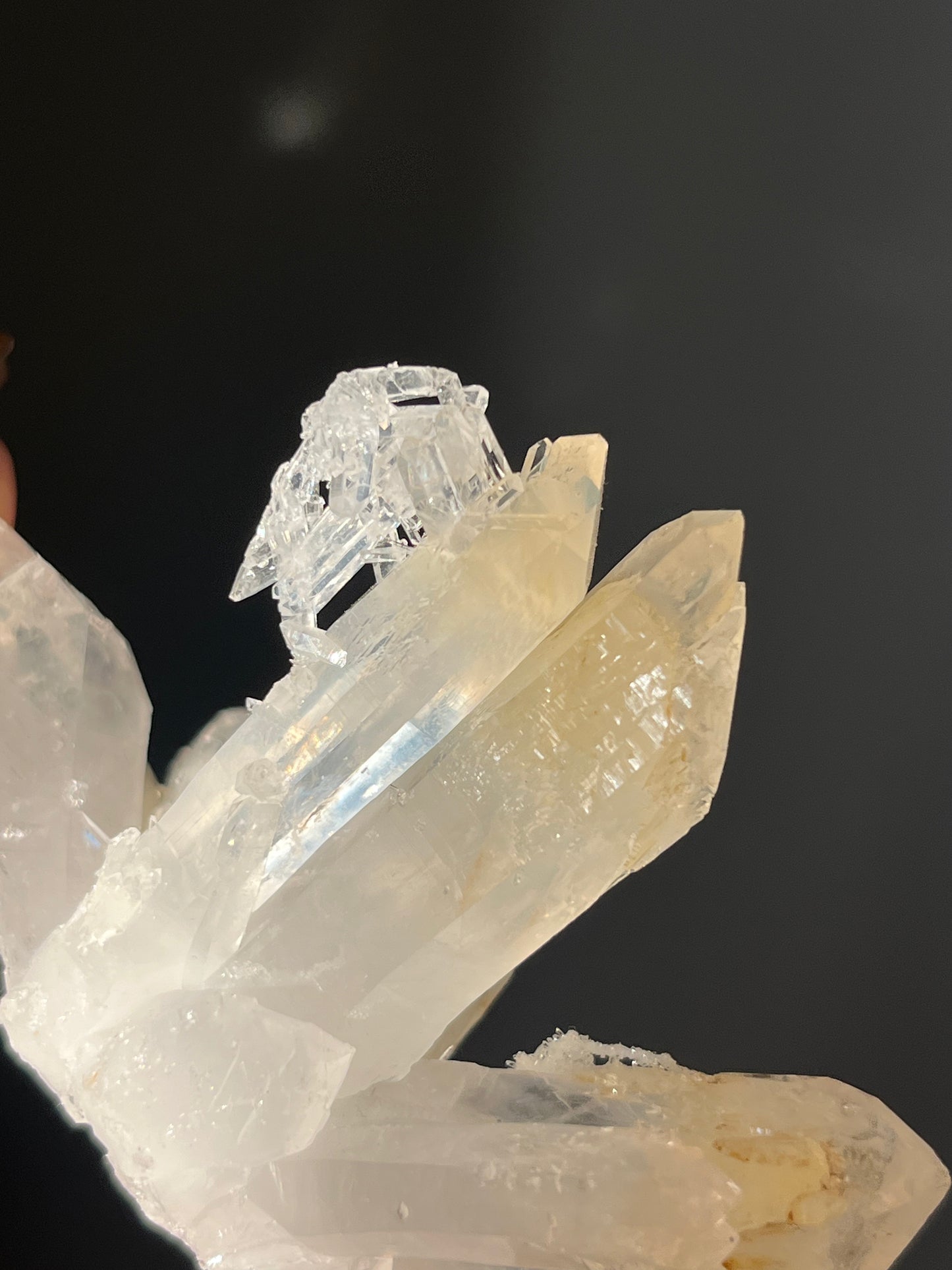 Mango Quartz Statement Cluster B