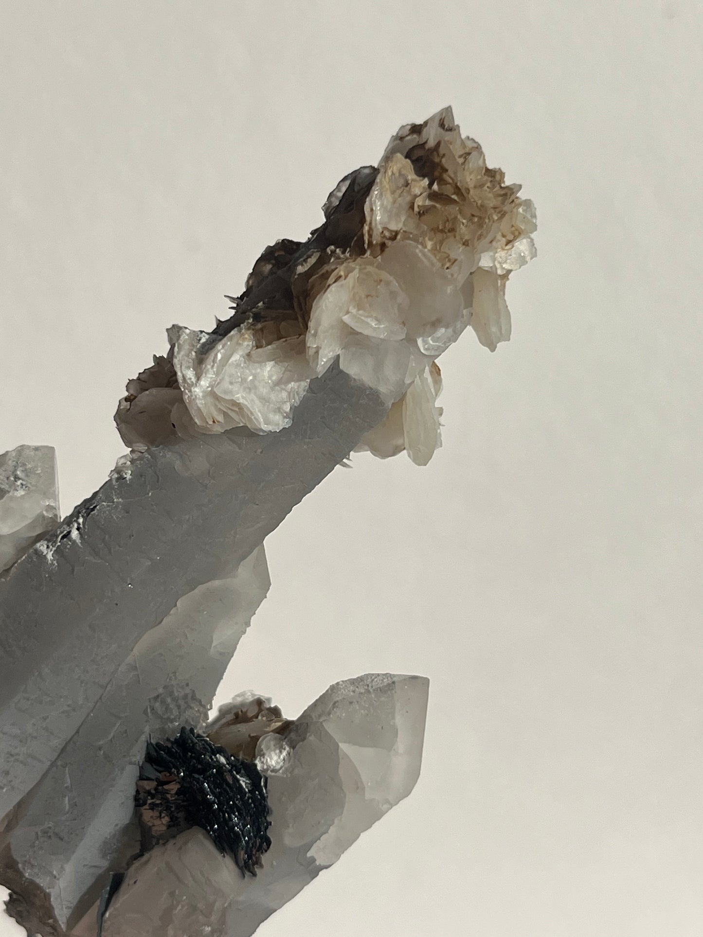 Midnight Bloom Quartz Specimen C