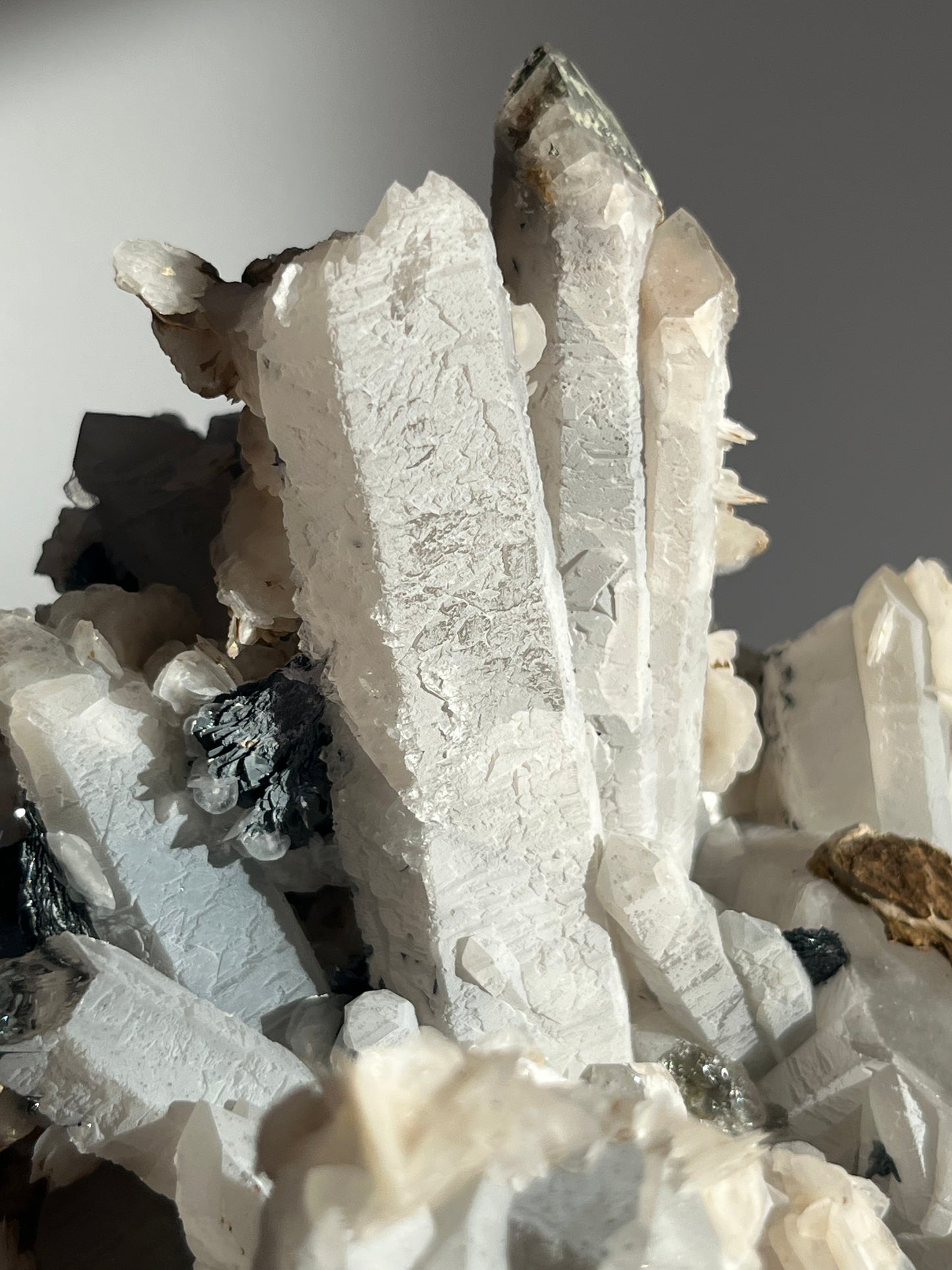 Midnight Bloom Quartz Specimen A