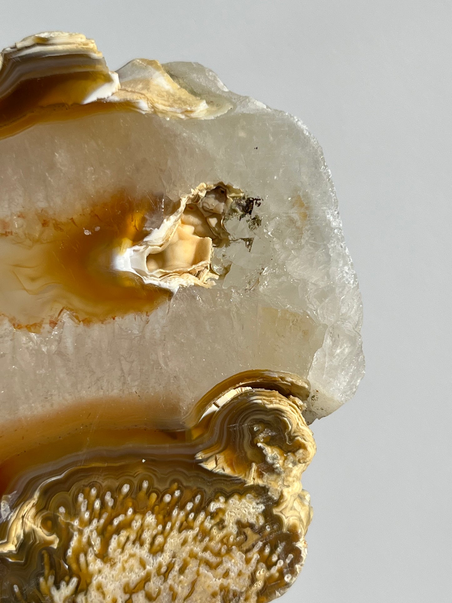 Natural Carnelian Agate and Sagenite Slab A