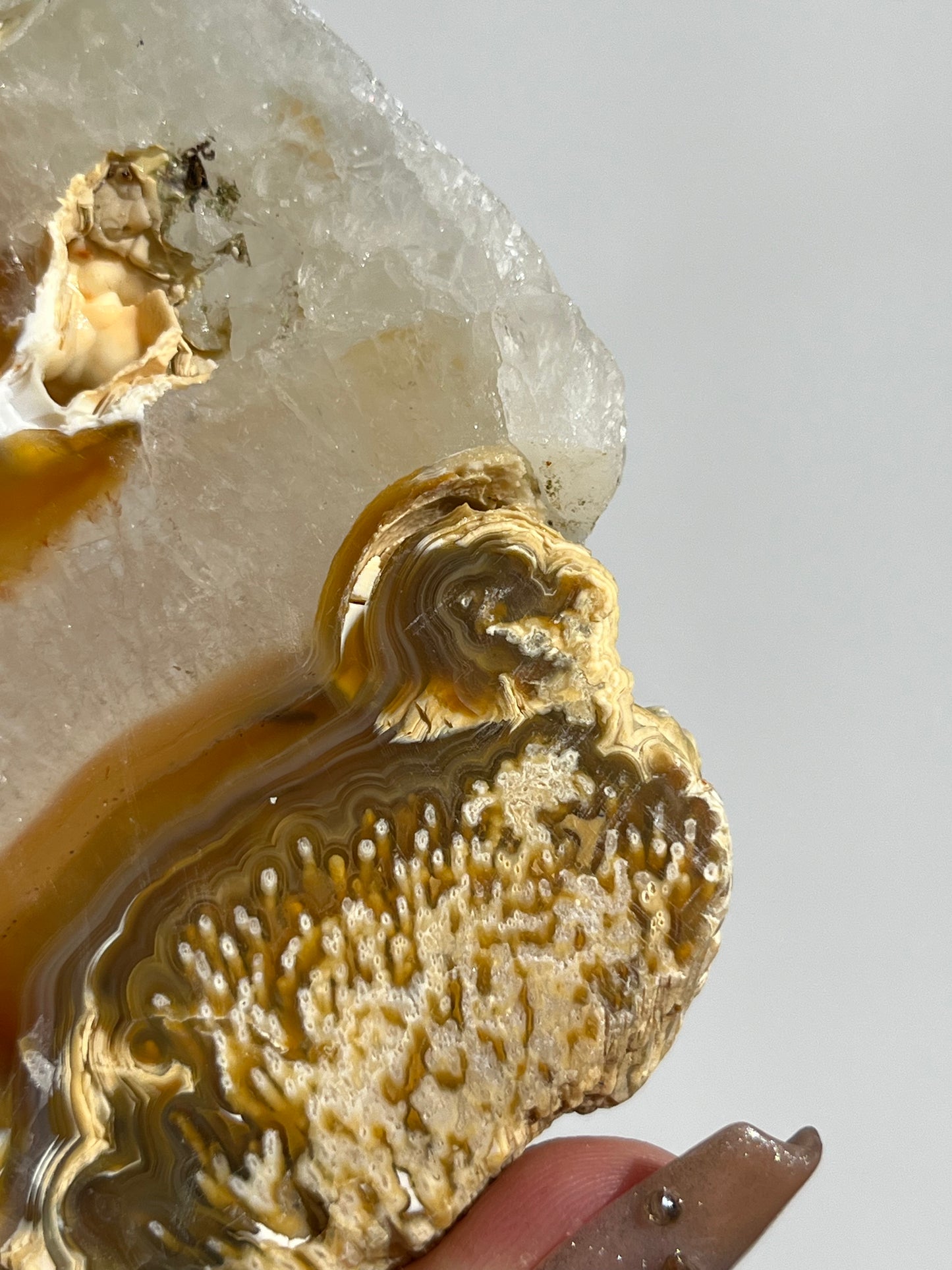 Natural Carnelian Agate and Sagenite Slab A
