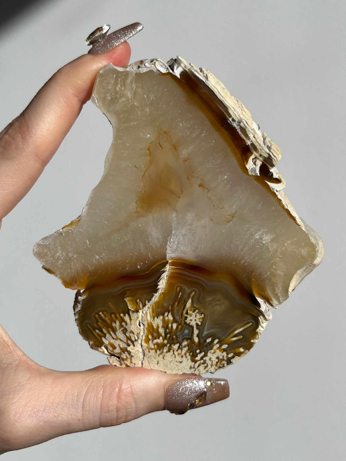 Natural Carnelian Agate and Sagenite Slab C