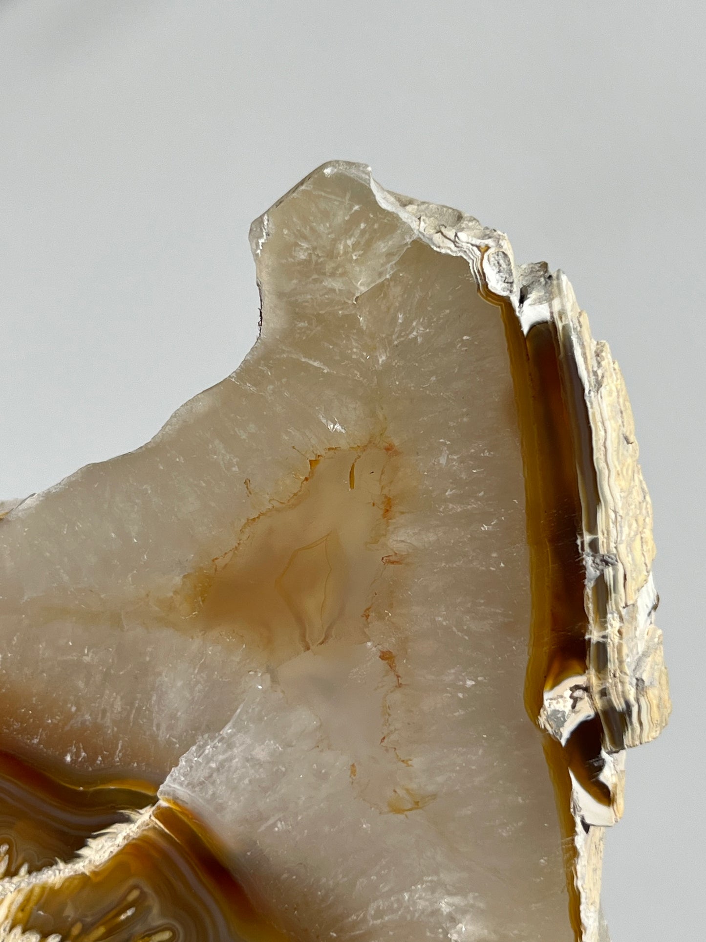 Natural Carnelian Agate and Sagenite Slab C
