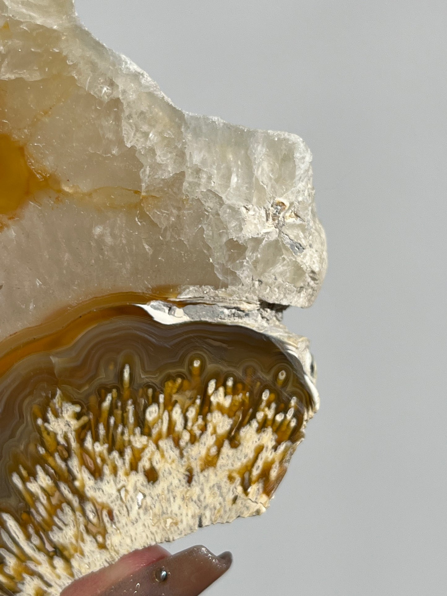 Natural Carnelian Agate and Sagenite Slab D