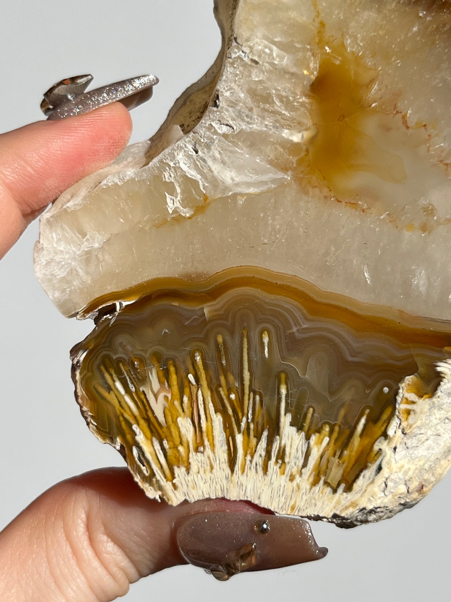 Natural Carnelian Agate and Sagenite Slab D