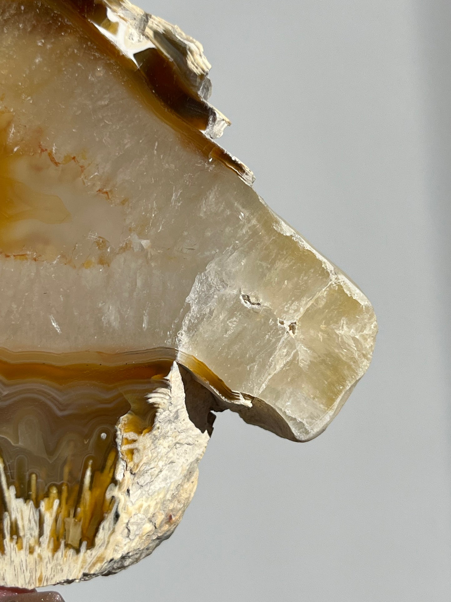 Natural Carnelian Agate and Sagenite Slab D