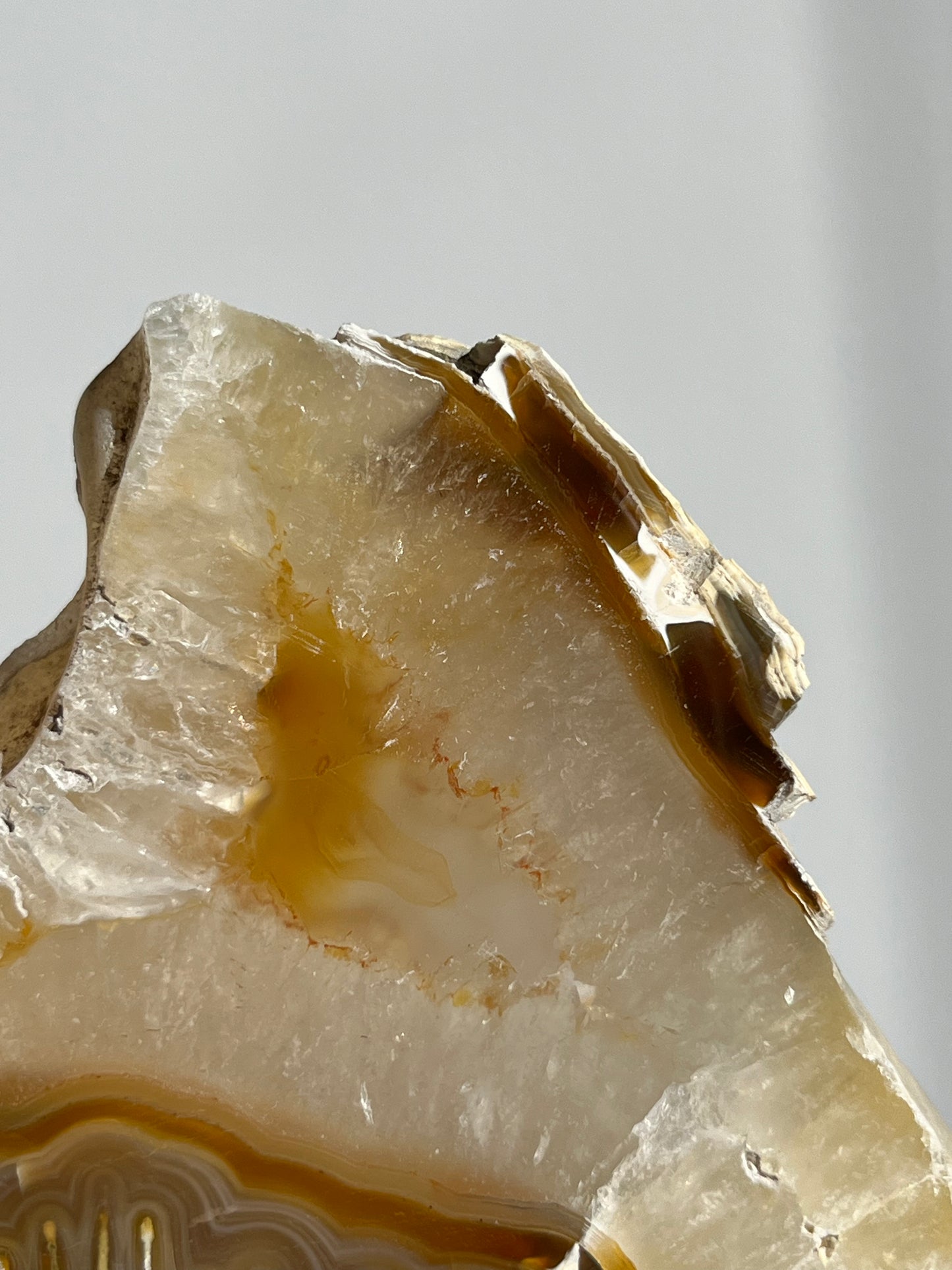 Natural Carnelian Agate and Sagenite Slab D