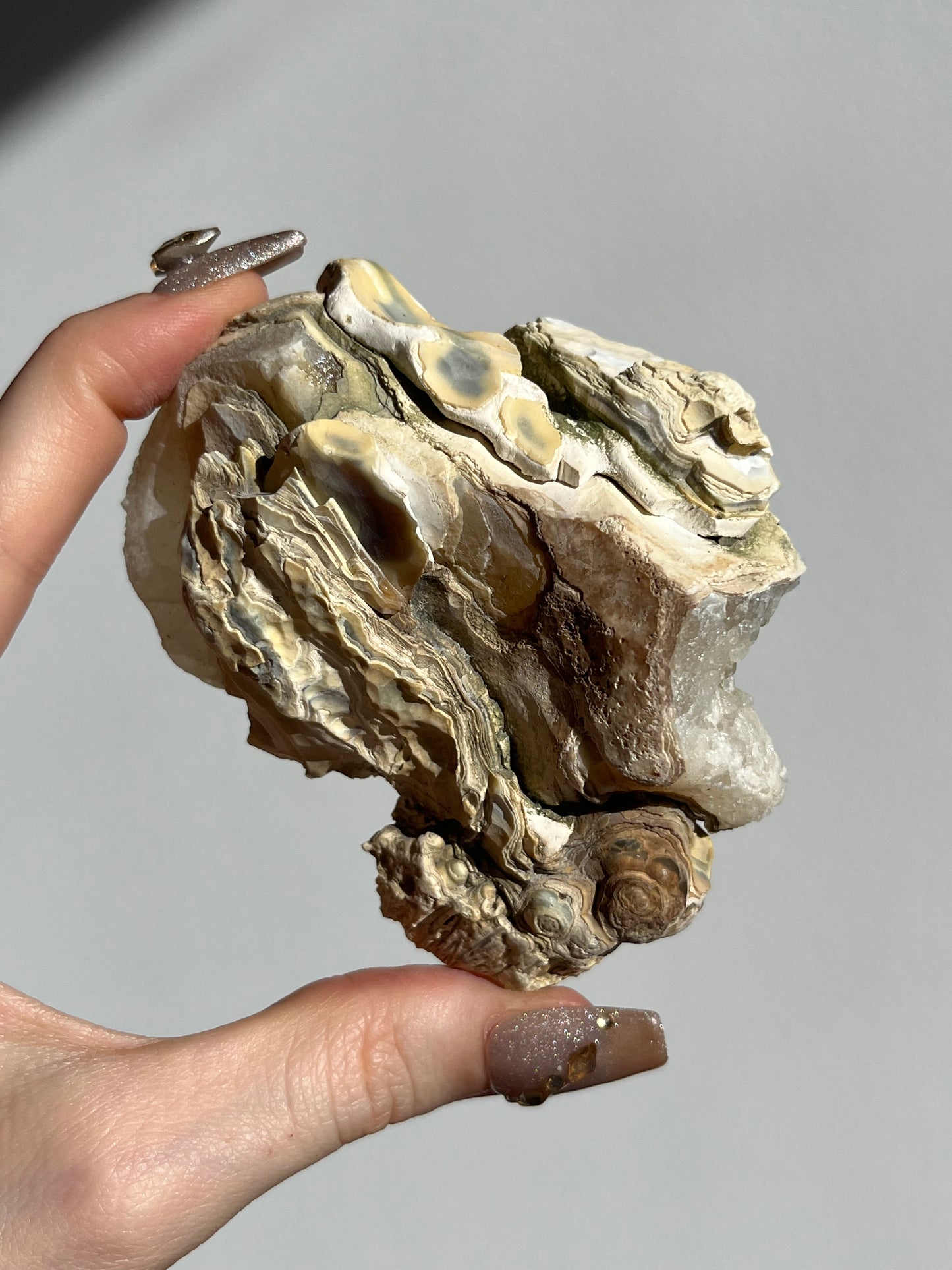 Natural Carnelian Agate and Sagenite Slab E