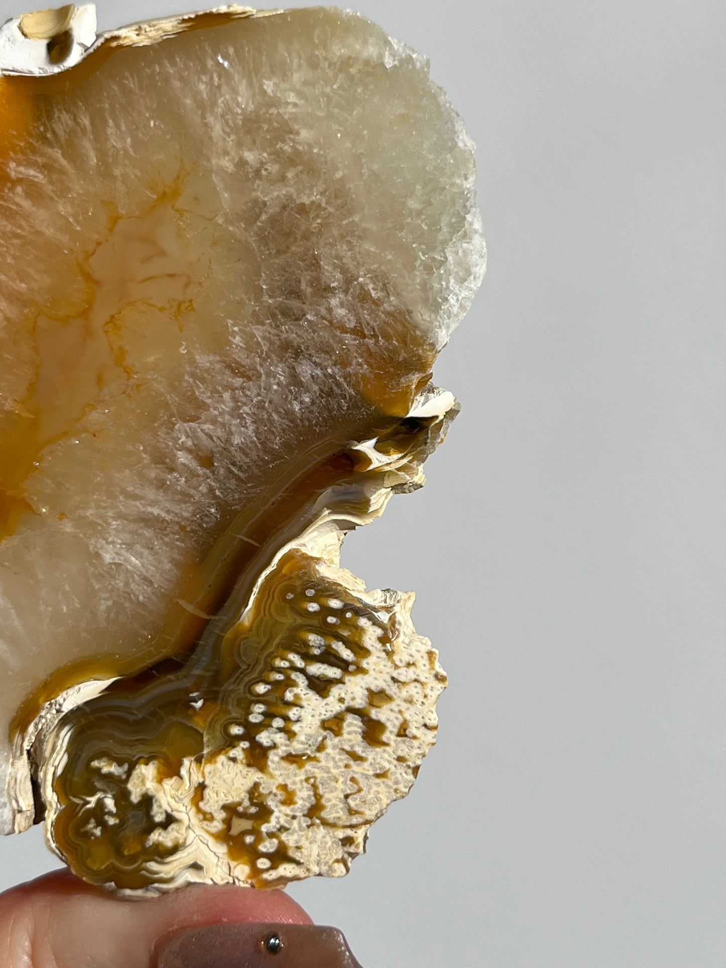 Natural Carnelian Agate and Sagenite Slab E