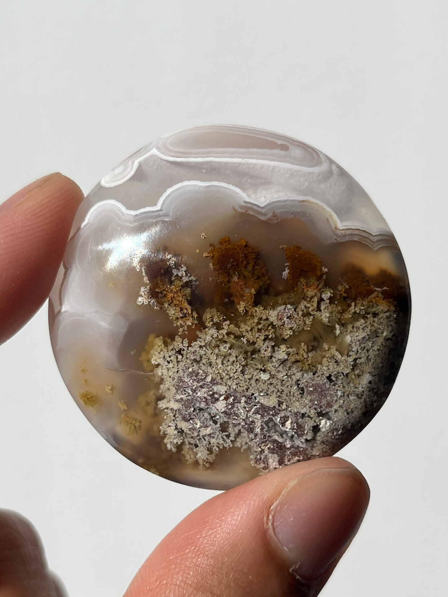 Nebula Agate with Scenic Moss Medallion F
