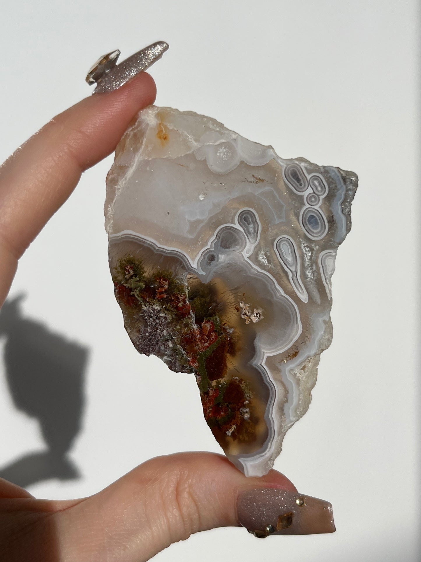 Orbicular Nebula Agate with Scenic Moss and Dendritic Inclusions Slab Q