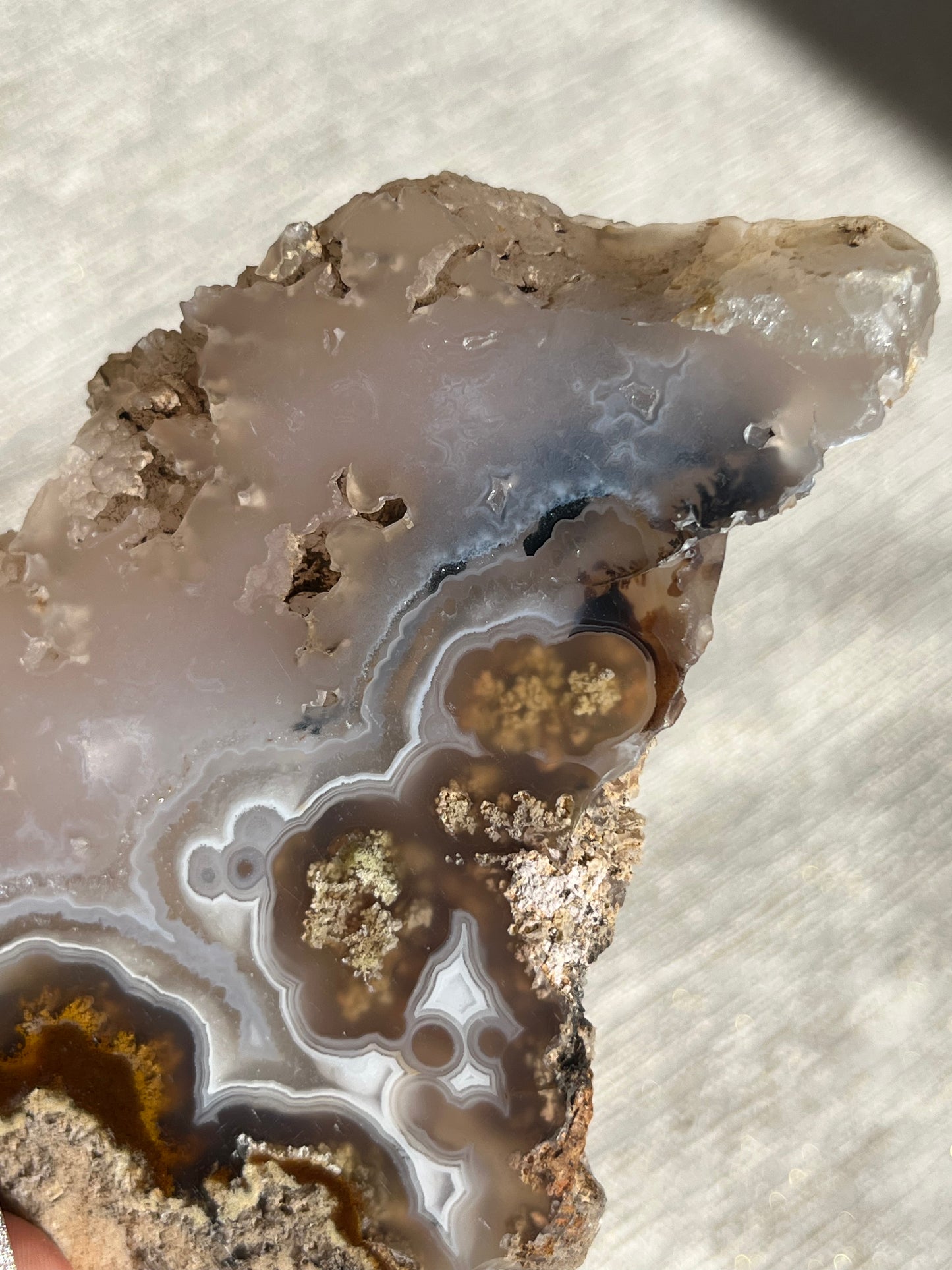 Orbicular Nebula Agate and Scenic Moss Slab with Dendritic Inclusions H