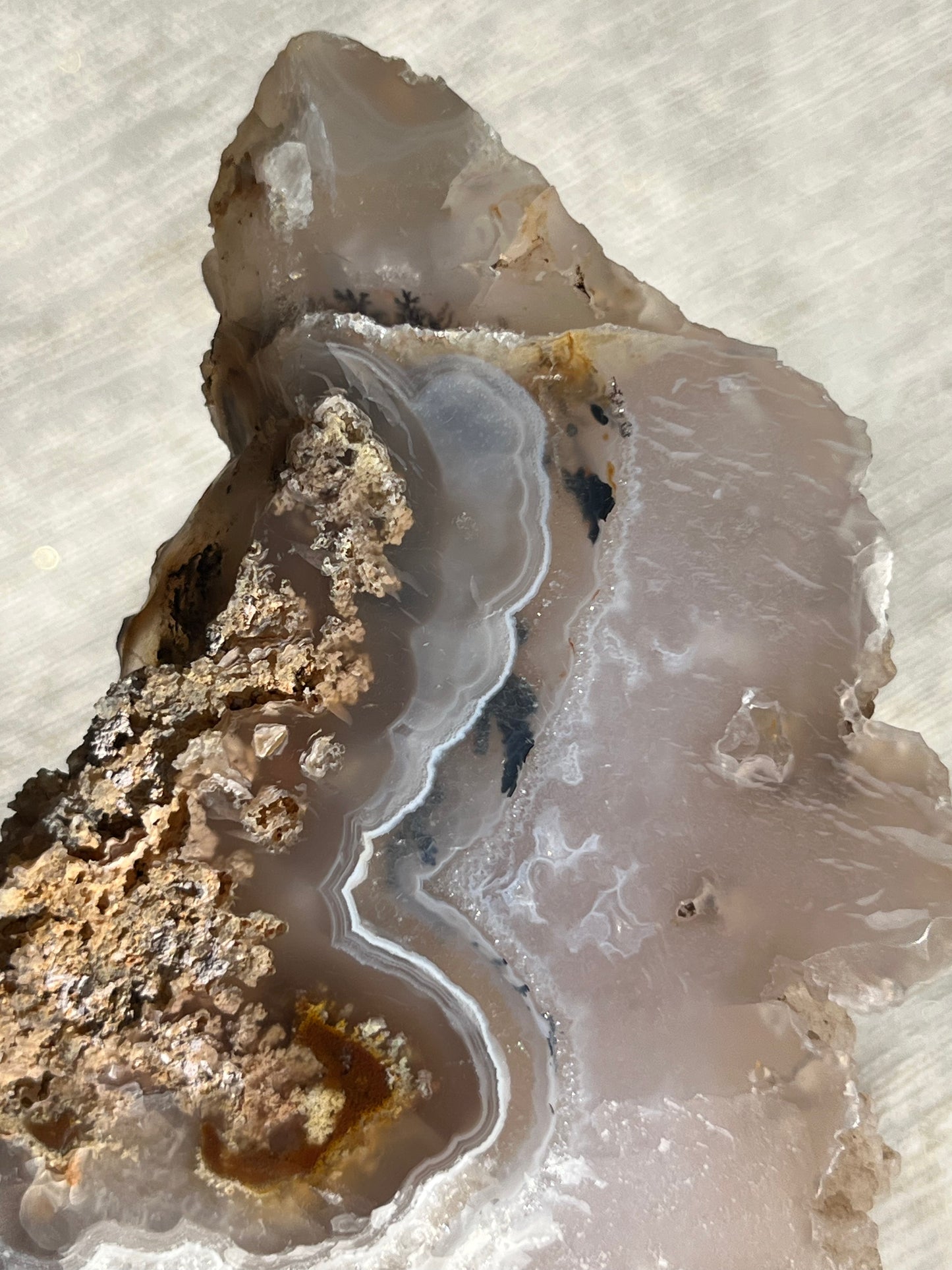 Orbicular Nebula Agate and Scenic Moss Slab with Dendritic Inclusions H