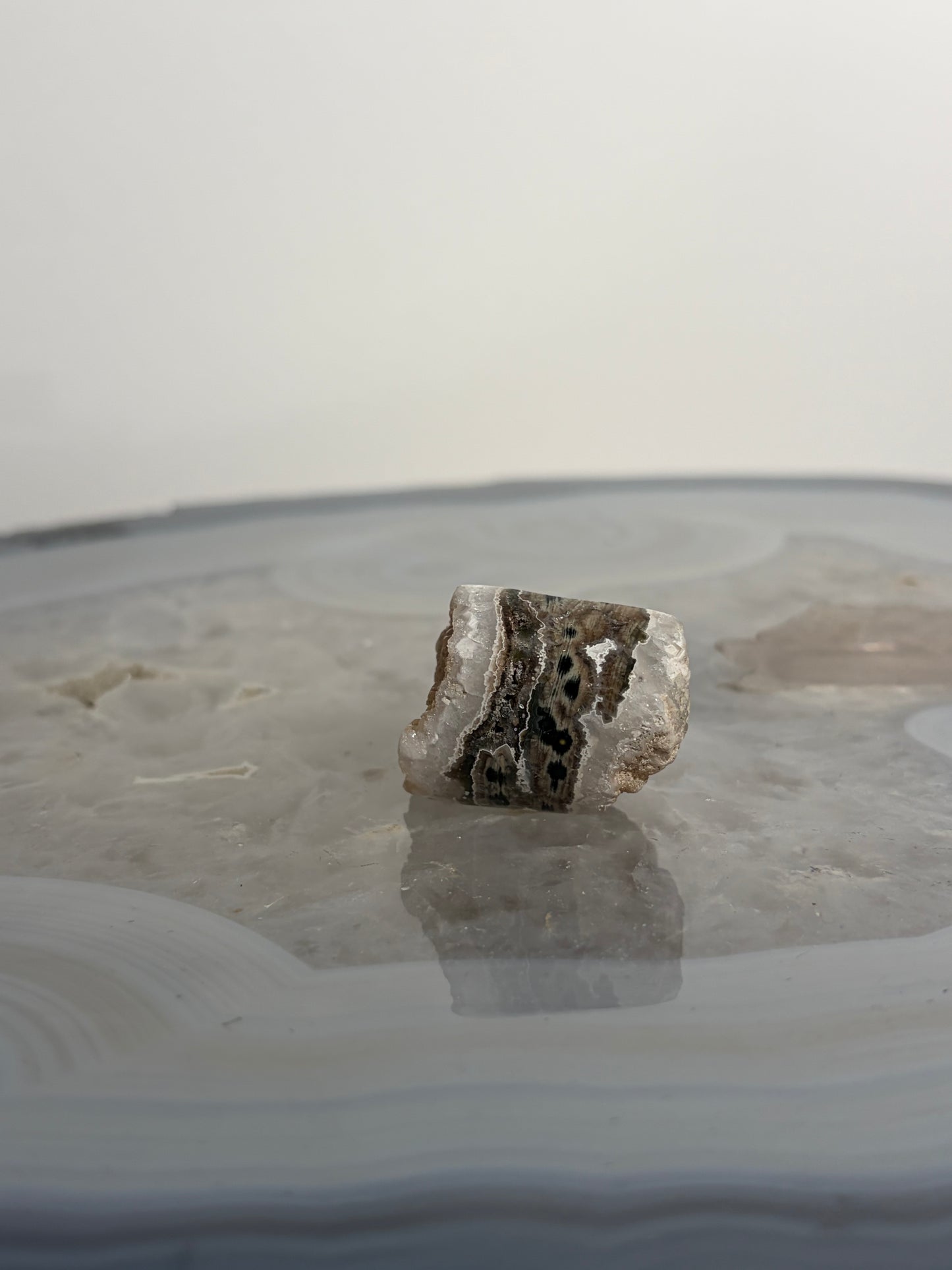 Druzy Orbicular Jasper Miniature Freeform J
