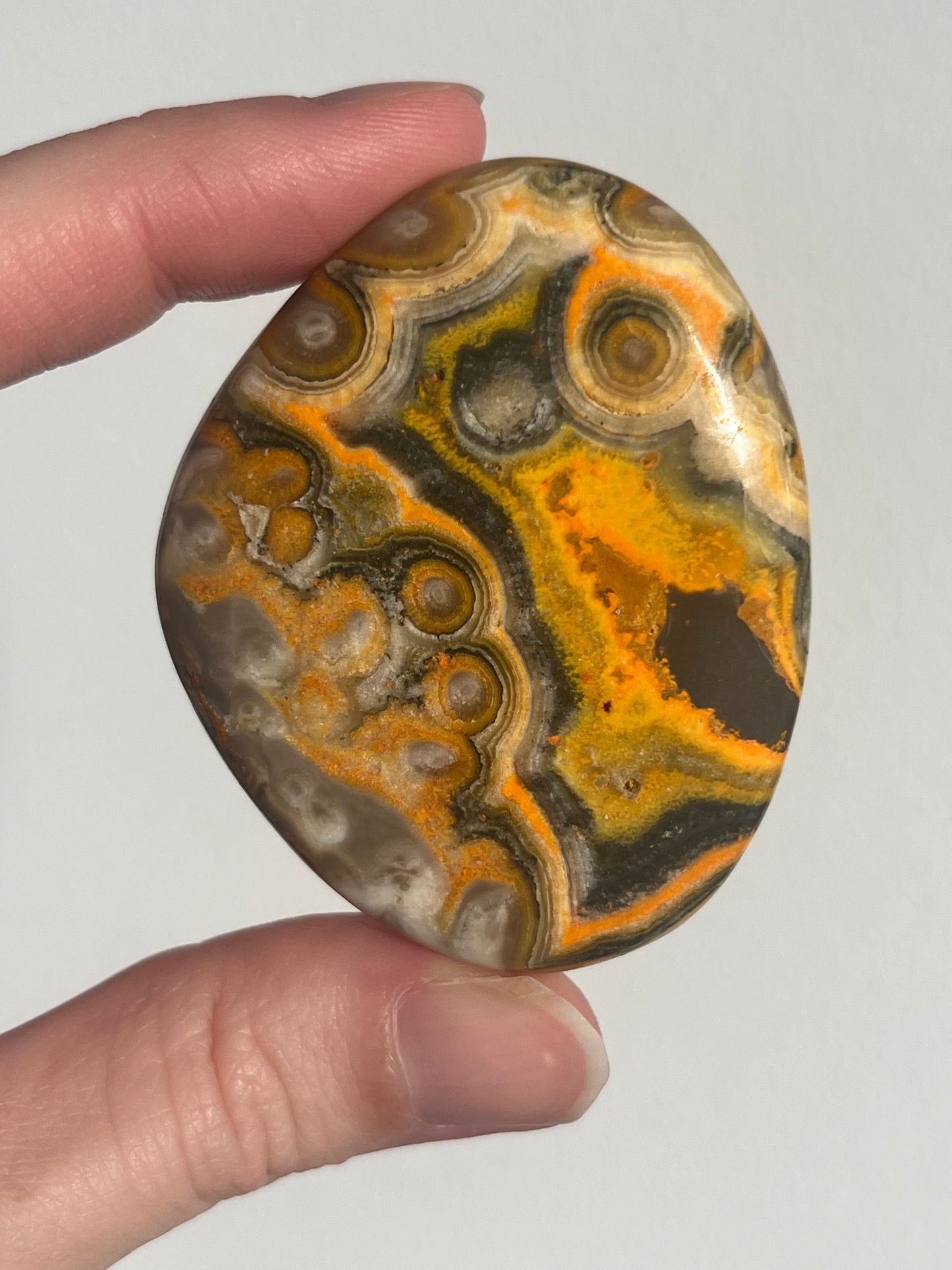 'Talisman' Old Stock Orbicular Bumblebee Jasper Palmstone #6
