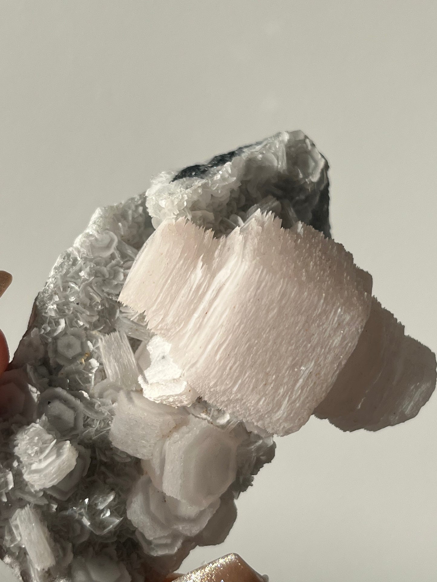 Pink Coin Calcite Specimen C