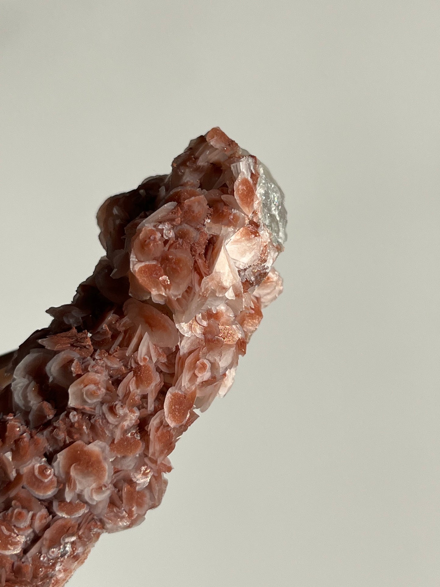 Pink Sakura Blossom Calcite on Quartz Specimen C