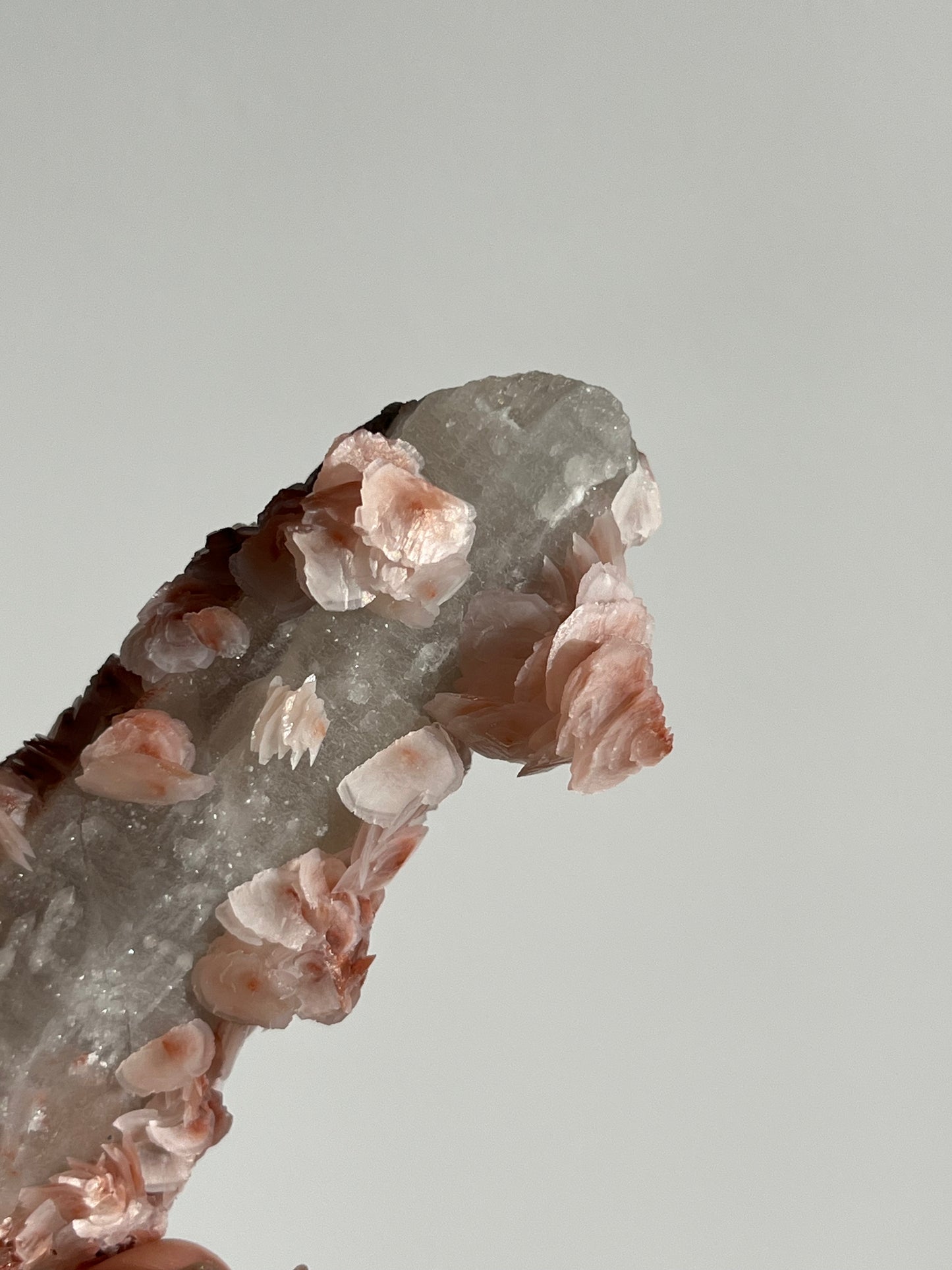 Pink Sakura Blossom Calcite on Quartz Specimen C