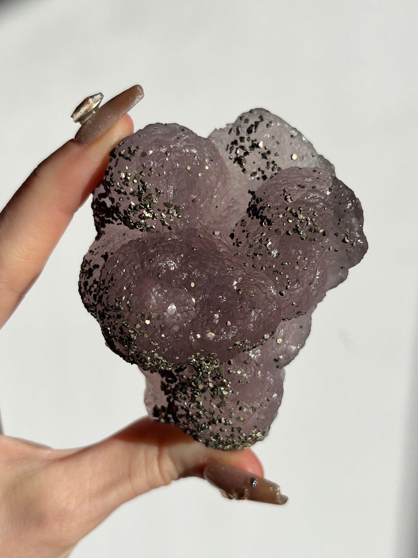 Botryoidal Purple Fluorite with Pyrite and Barite Specimen A (Collector's Choice)