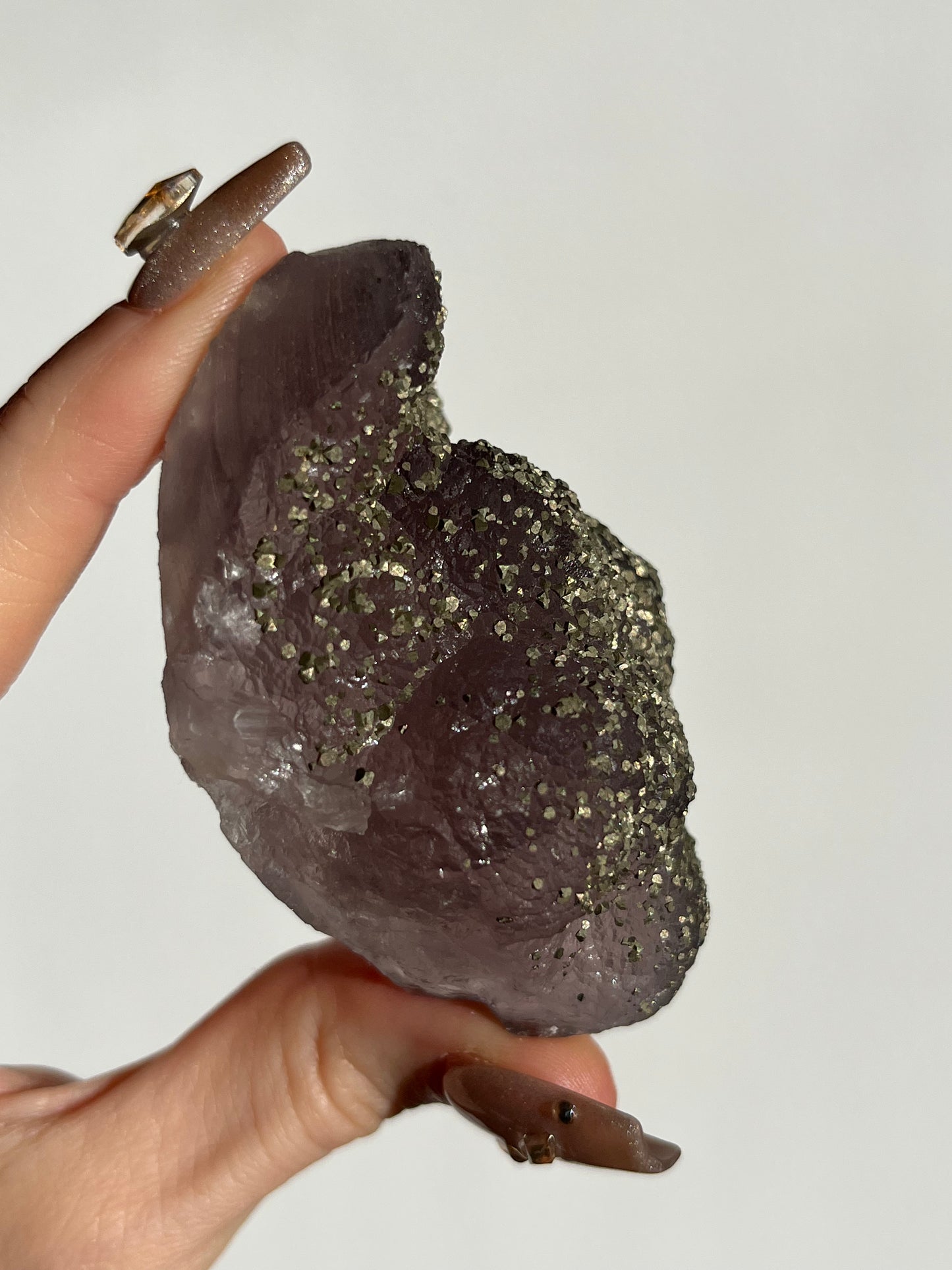 Botryoidal Purple Fluorite with Pyrite Specimen F (Collector's Choice)