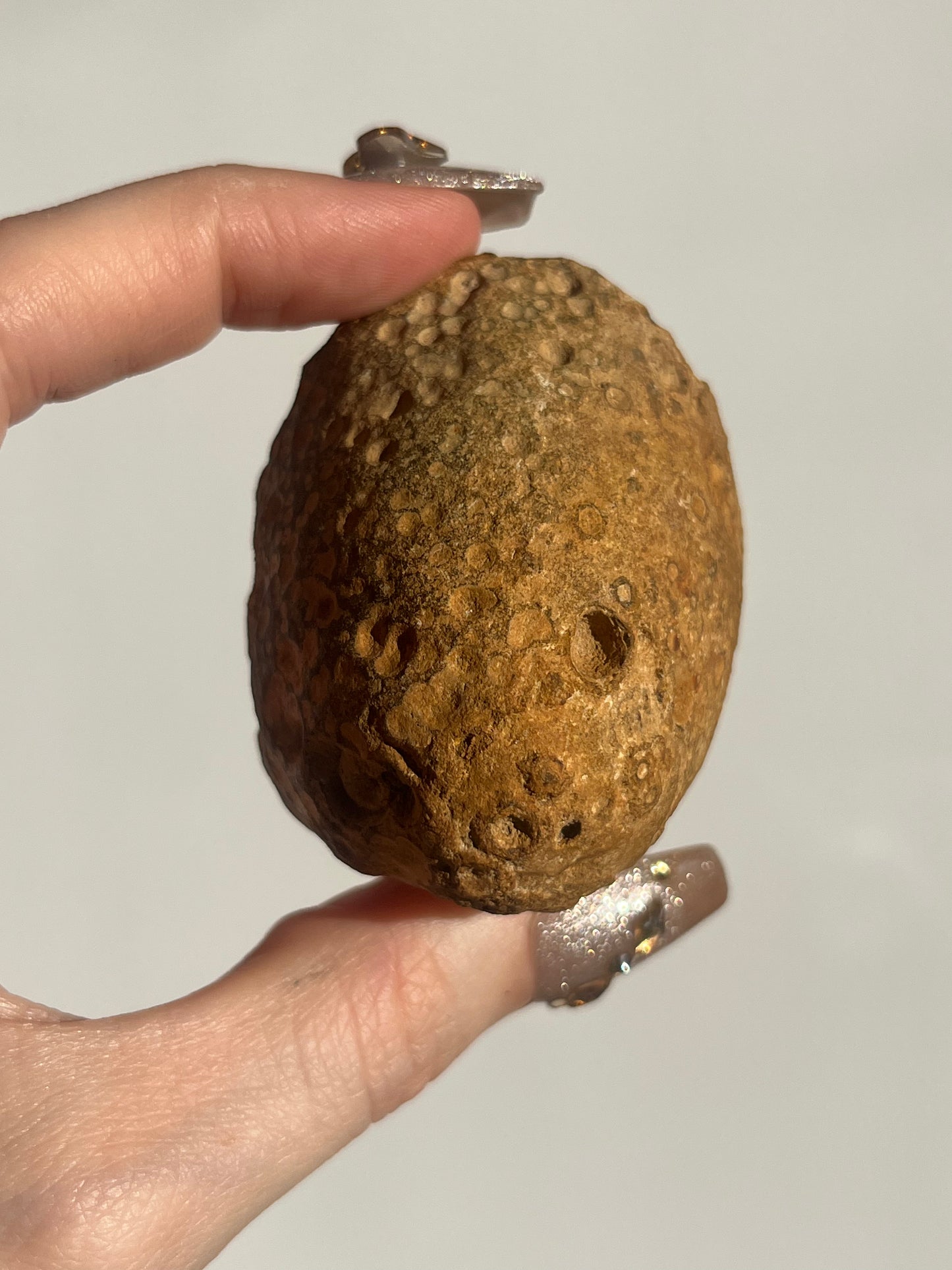 East Indonesian Red Jasper Nodule with Hematite Inclusions