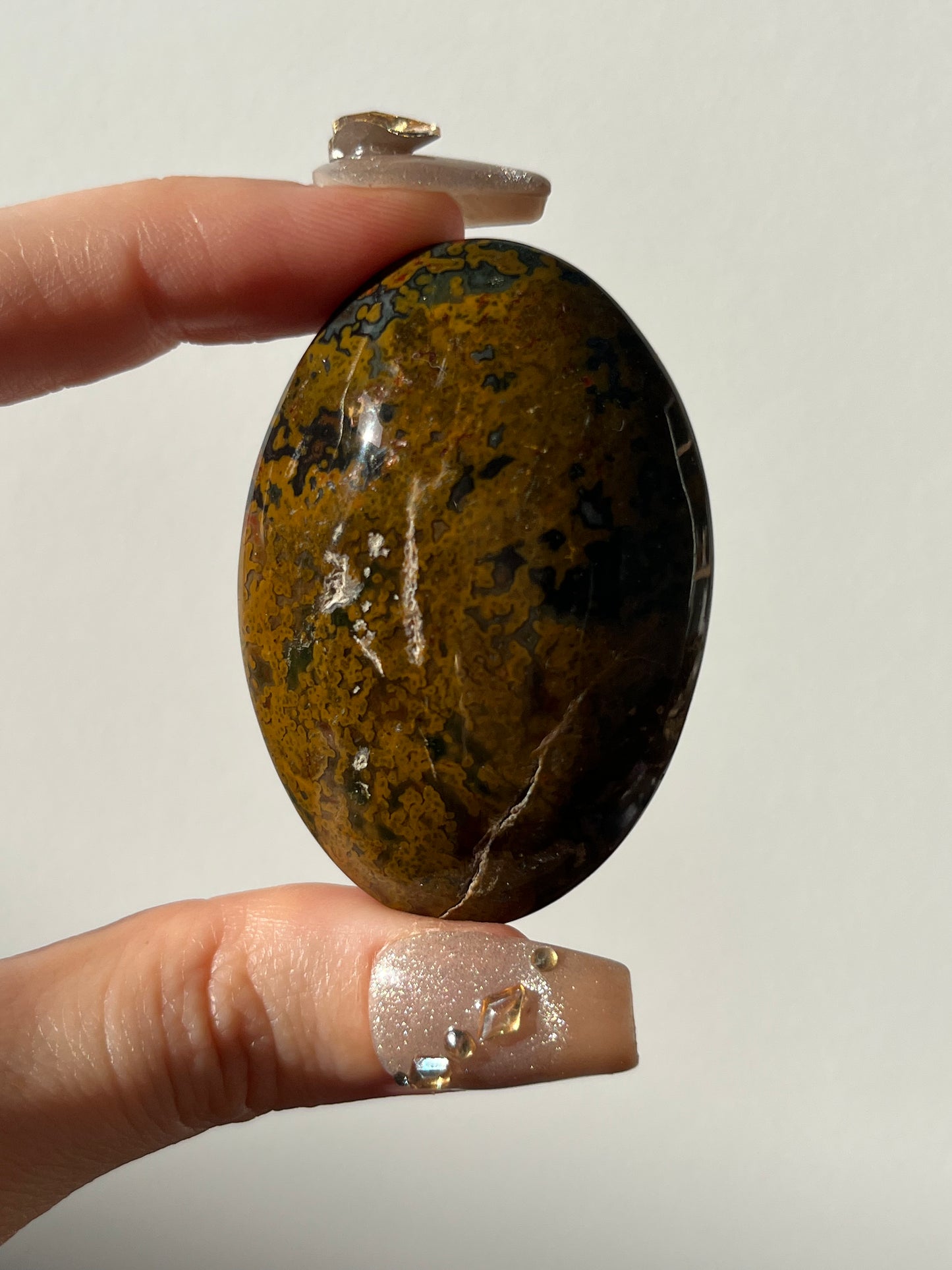 River Jasper Palmstone H