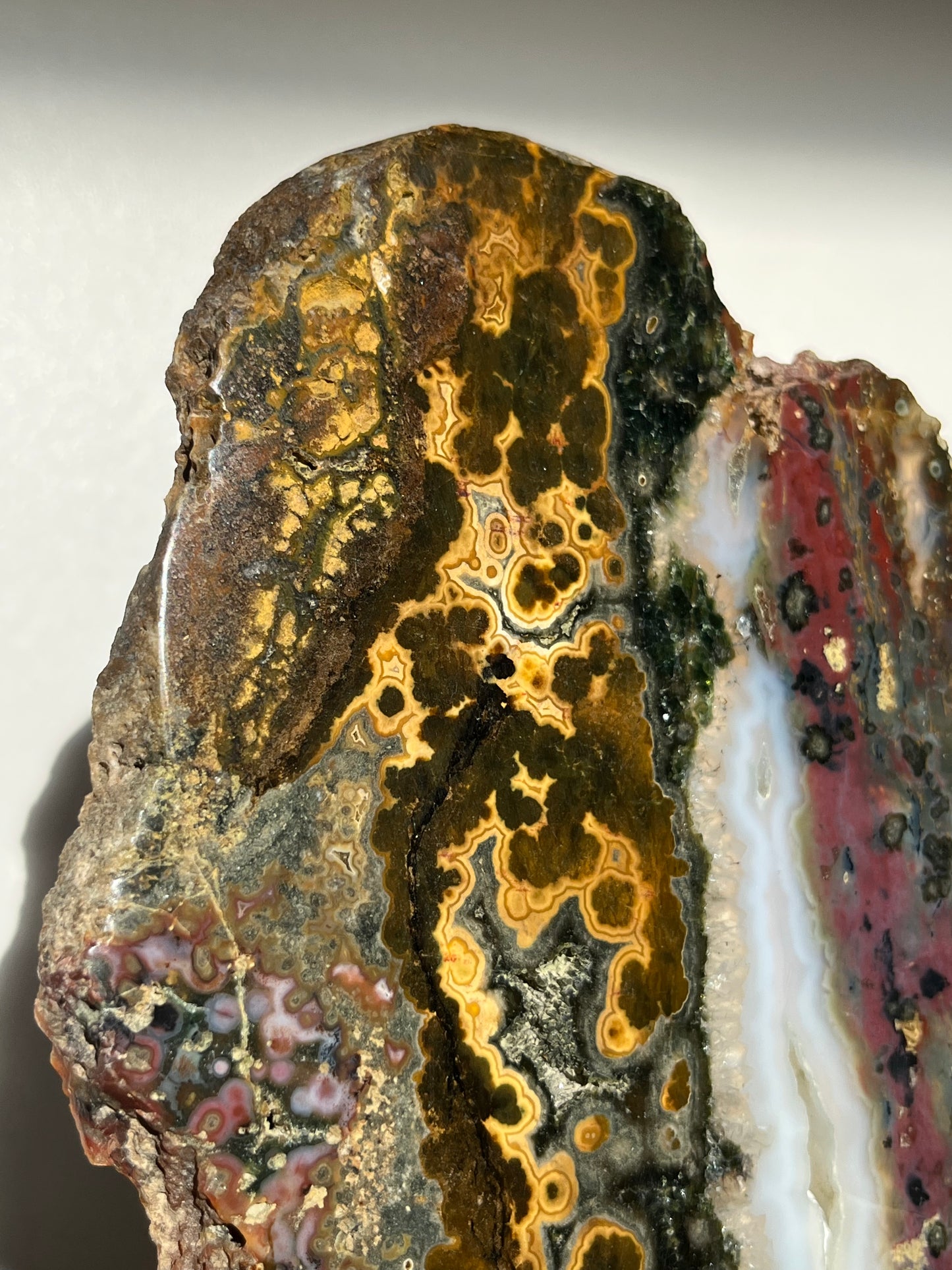 Multicoloured River Jasper Slab with Dendritic Inclusions on Rotating Gold Coloured Stand