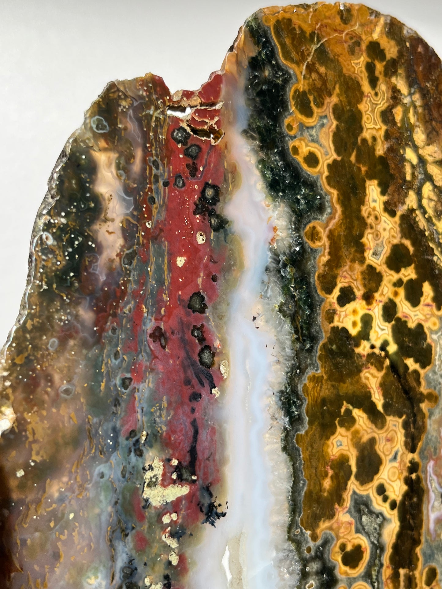 Multicoloured River Jasper Slab with Dendritic Inclusions on Rotating Gold Coloured Stand