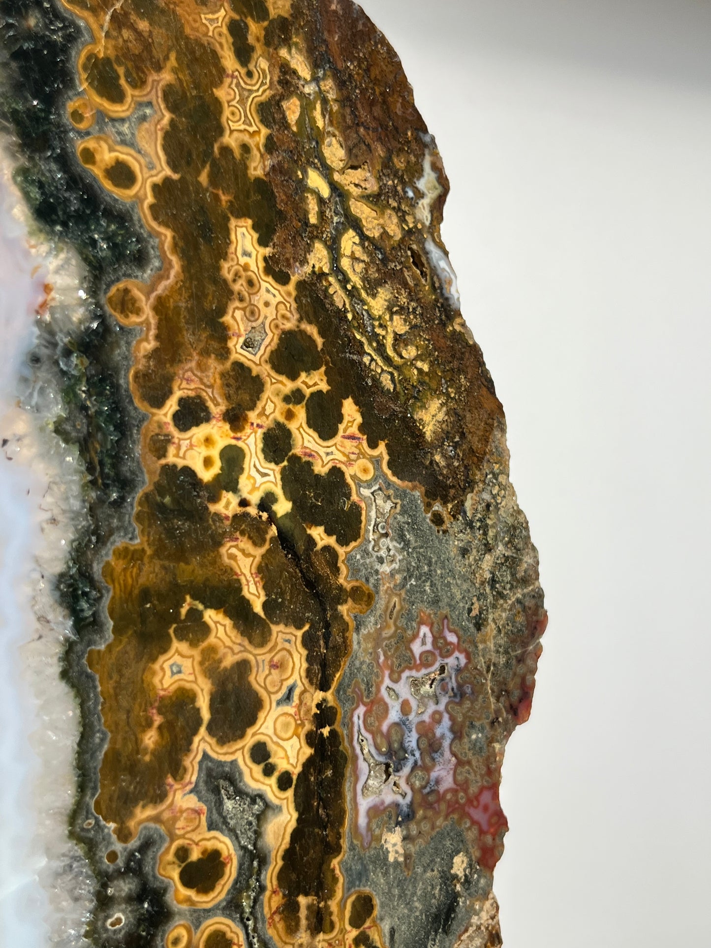 Multicoloured River Jasper Slab with Dendritic Inclusions on Rotating Gold Coloured Stand