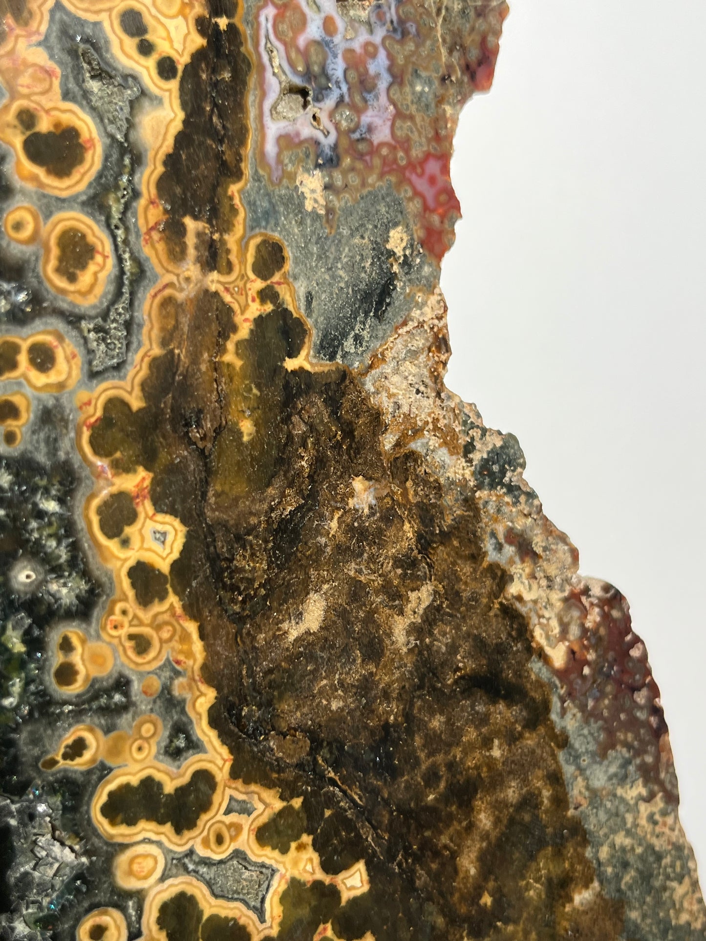 Multicoloured River Jasper Slab with Dendritic Inclusions on Rotating Gold Coloured Stand