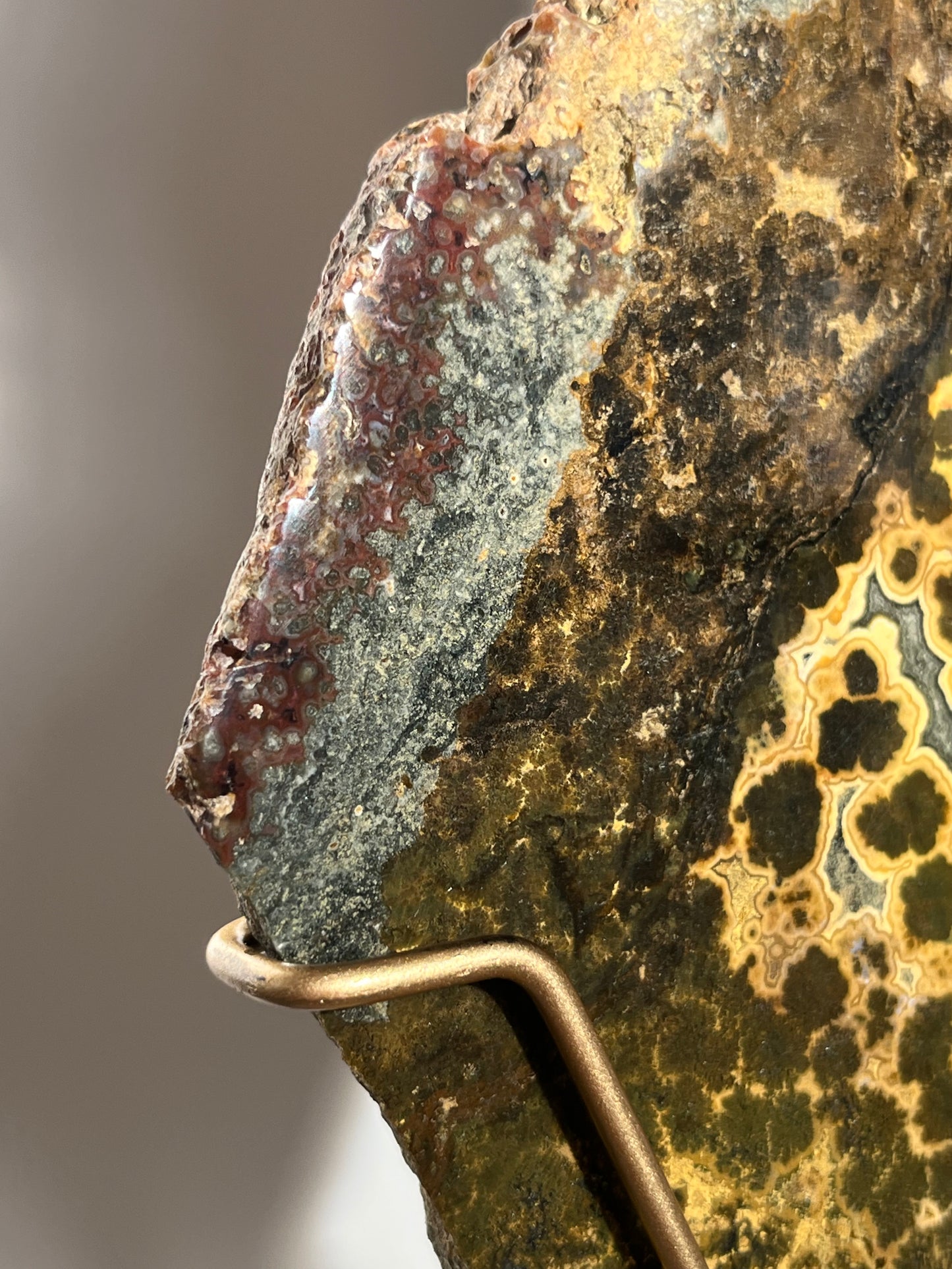 Multicoloured River Jasper Slab with Dendritic Inclusions on Rotating Gold Coloured Stand