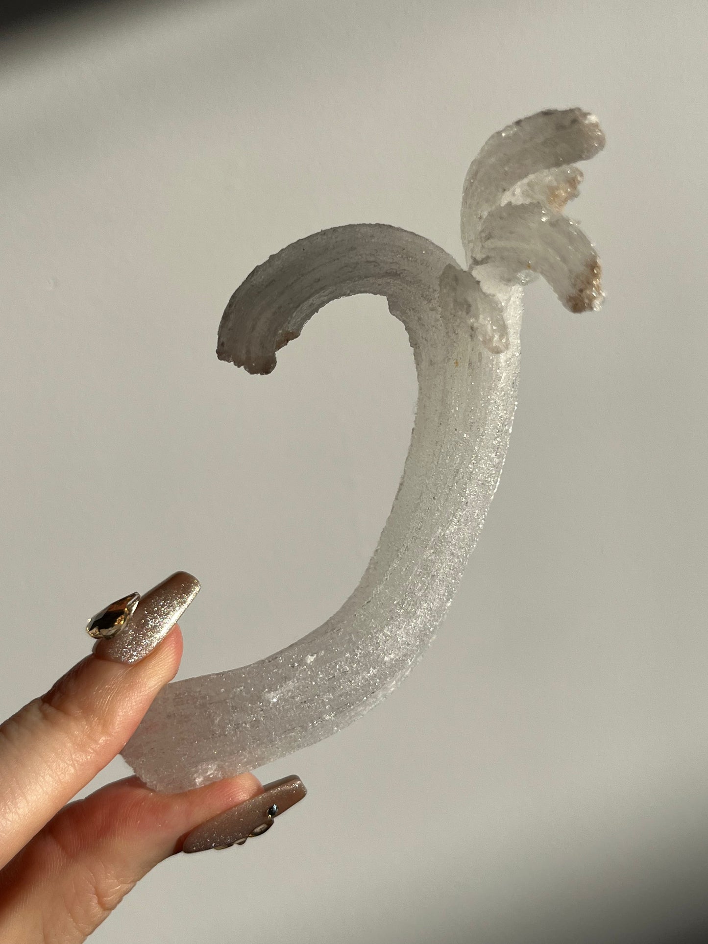 Selenite Horn Specimen A