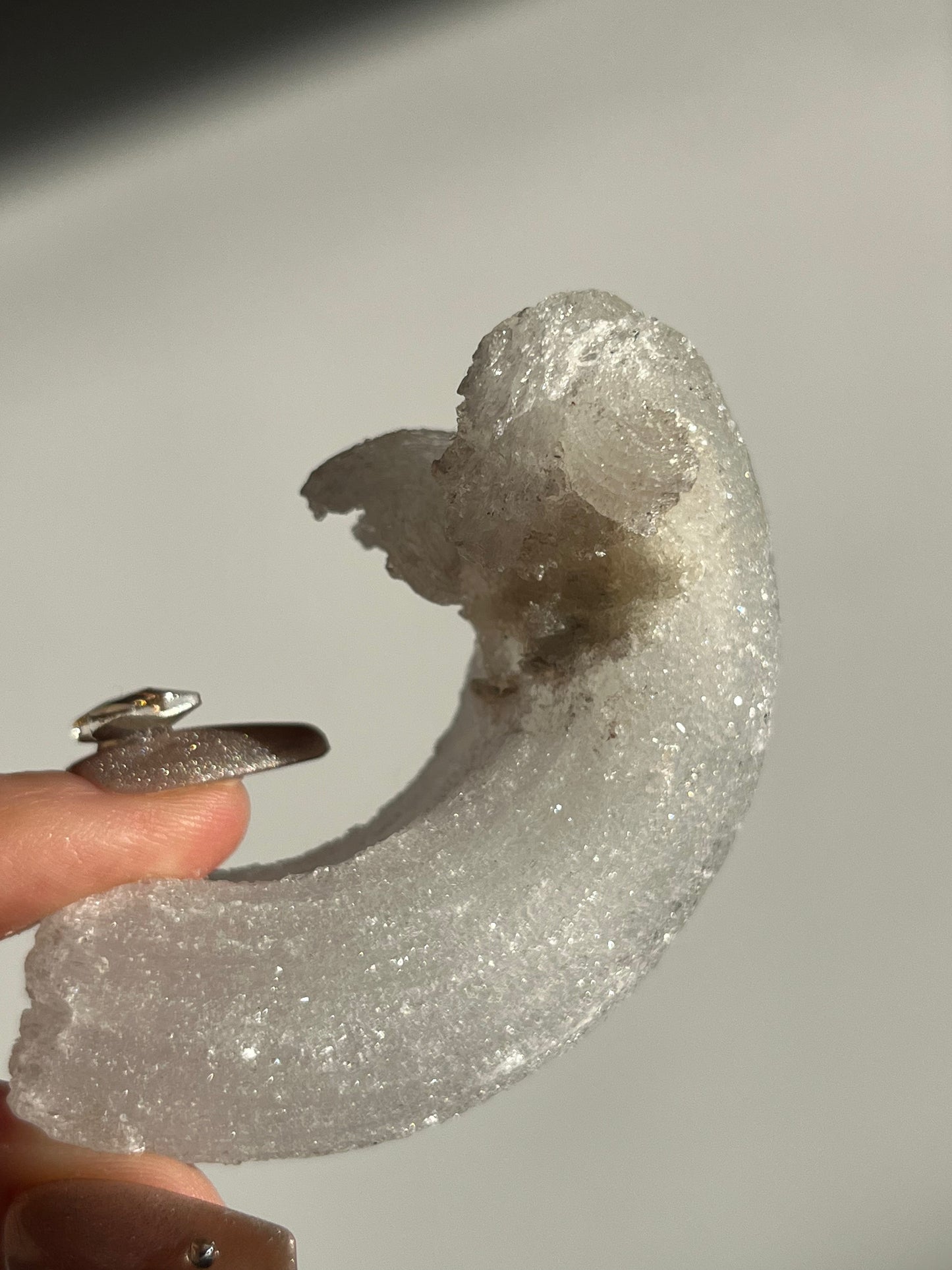 Selenite Horn Specimen B