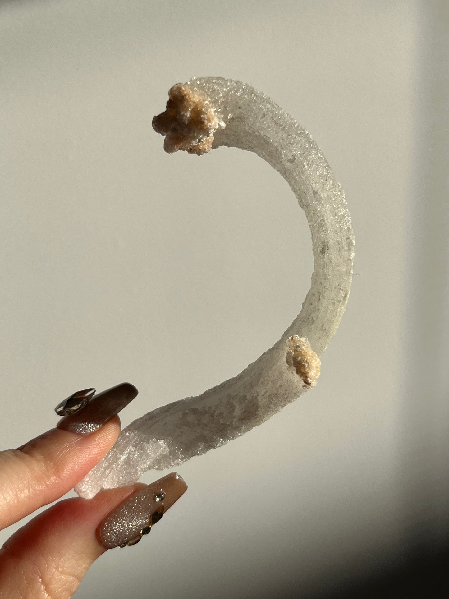 Selenite Horn Specimen D