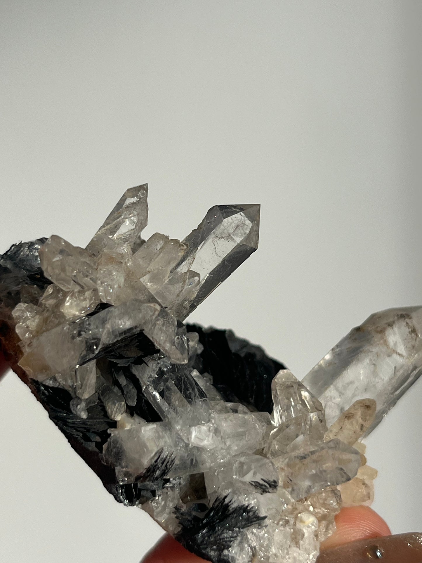 Specularite Hematite Rose with Quartz Specimen G